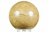 Polished Bird's Eye Jasper (Rhyolite) Sphere - Utah #371231-1